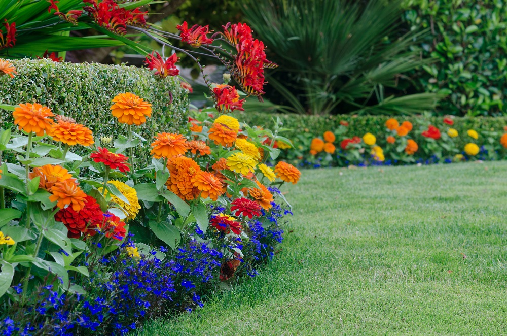 July 2019 Scientific healing power High Ridge House